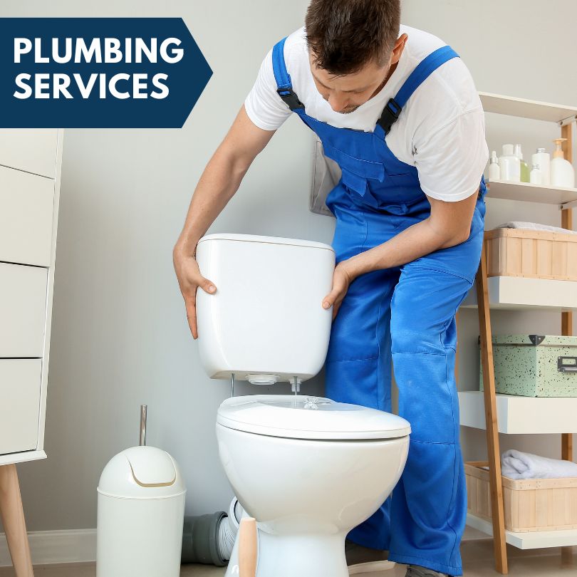 Plumbing Company in Waltham, MN